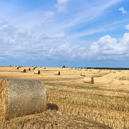 Appartement Ferienwohnung Warthe Warthe (Mecklenburg-Vorpommern)